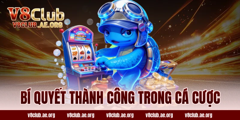 Bí Quyết Thành Công Trong Cá Cược