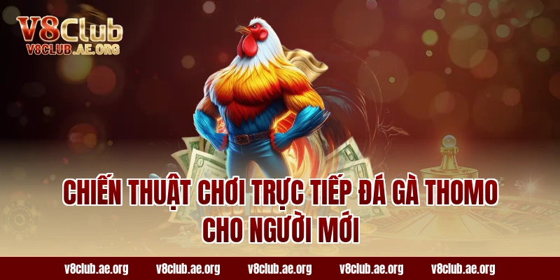 Chiến thuật chơi trực tiếp đá gà thomo cho người mới