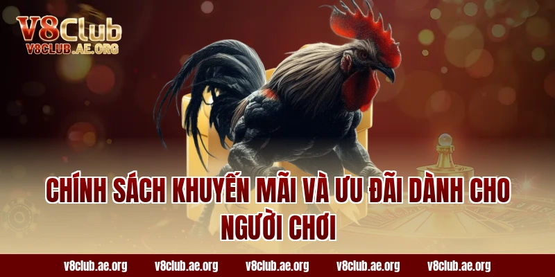 Chính Sách Khuyến Mãi và Ưu Đãi Dành Cho Người Chơi