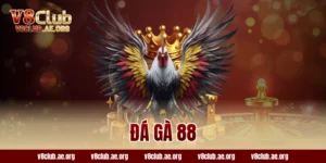 đá gà 88