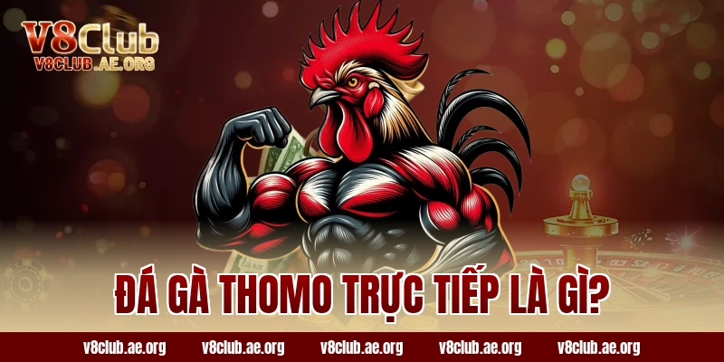 Đá gà Thomo trực tiếp là gì?